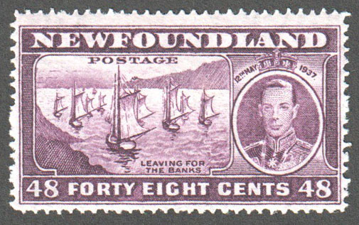 Newfoundland Scott 243 Mint F (P14.1) - Click Image to Close